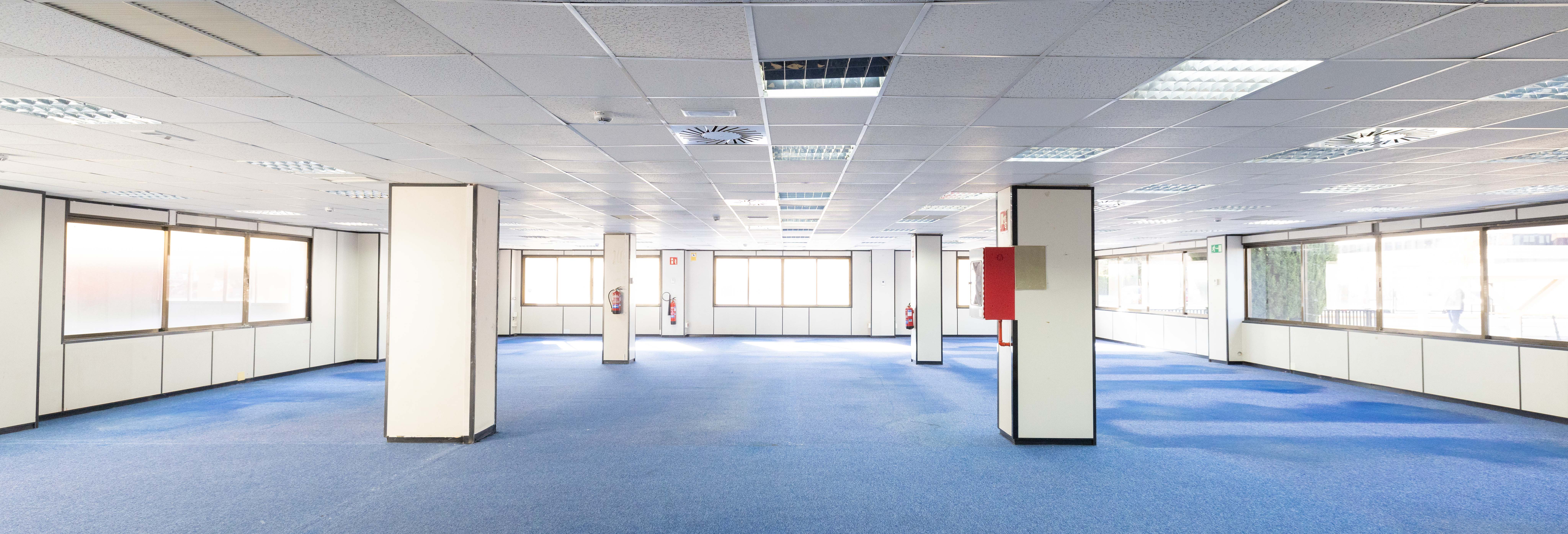 La granja, 8 13 La granja, 8 13